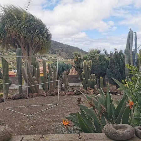 Los Cactus Santa Cruz de Tenerife Zewnętrze zdjęcie